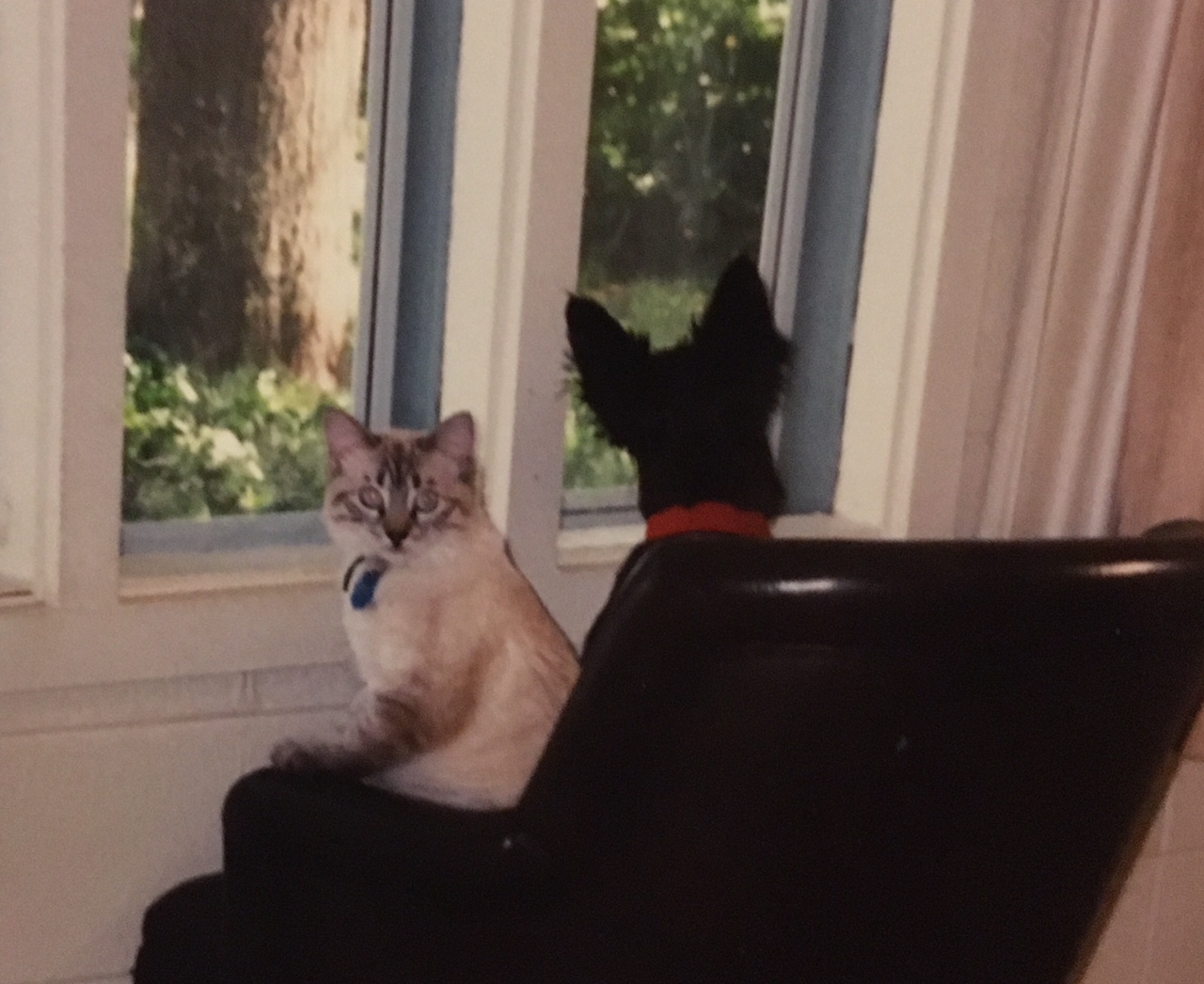 Skip and Beth at window
